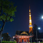 東京タワー&お寺